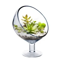 Glass Slant Cut Short Stem Satellite Terrarium Candle Holder, H-9" D-6.5" (Wholesale 6 PCS/Case)