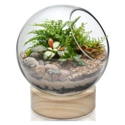 Home Decoration Discount 17 Case Of 6 - Glass Bubble Bowl With Wood Base, H-8.5" W-7"