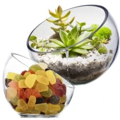 Home Decoration Discount 23 Glass Slant Cut Pod Terrarium Bowl, H-6.25" X 6.75", 9" X 10" (Wholesale 8 PCS/Case)