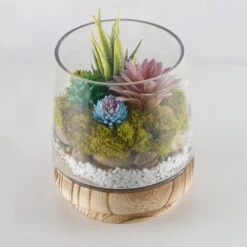 Case Of 6 - Glass Tapered Terrarium Vase With Wood Base, H-8" W-6" -Home Decoration Discount terrarium taper up vase wood base gch230 08 plant.1000 97644.1663192391.1280.1280