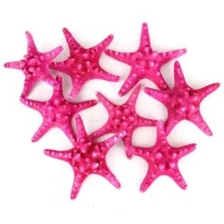 Case Of 4 - Fuchsia Pink Knobby Textured Starfish, 5"-7"