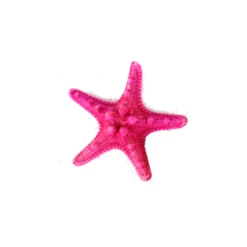 Case Of 4 - Fuchsia Pink Knobby Textured Starfish, 5"-7" -Home Decoration Discount vfsf01 05fu