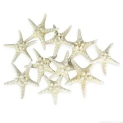 Case Of 4 - White Knobby Textured Starfish, 5"-7" (Wholesale 48 PCS/Case) -Home Decoration Discount vfsf01 05wt