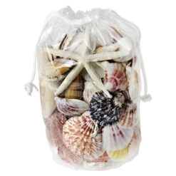 19.2 Lbs Mixed Sea Shells With Bleached Finger Starfish (Approximately 1260 Pcs) -Home Decoration Discount vfss2001 00 1