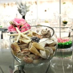 19.2 Lbs Mixed Sea Shells With Bleached Finger Starfish (Approximately 1260 Pcs) -Home Decoration Discount vfss2001 00 4