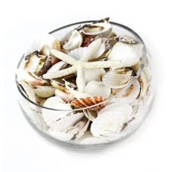 19.2 Lbs White Mixed Sea Shells With Bleached Finger Starfish (Approximately 1200 Pcs) -Home Decoration Discount vfss2002 00 3