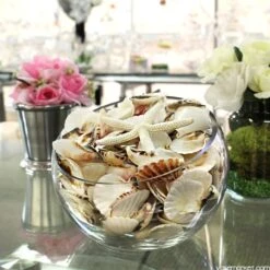 19.2 Lbs White Mixed Sea Shells With Bleached Finger Starfish (Approximately 1200 Pcs) -Home Decoration Discount vfss2002 00 5