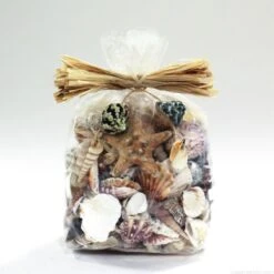 19.2 Lbs Natural Mixed Shells In Bulseta Bag Bowl Vase Fillers (Approximately 1200 Pcs) 5 19.2 Lbs Natural Mixed Shells In Bulseta Bag Bowl Vase Fillers (Approximately 1200 Pcs) -Home Decoration Discount vfss2003 00