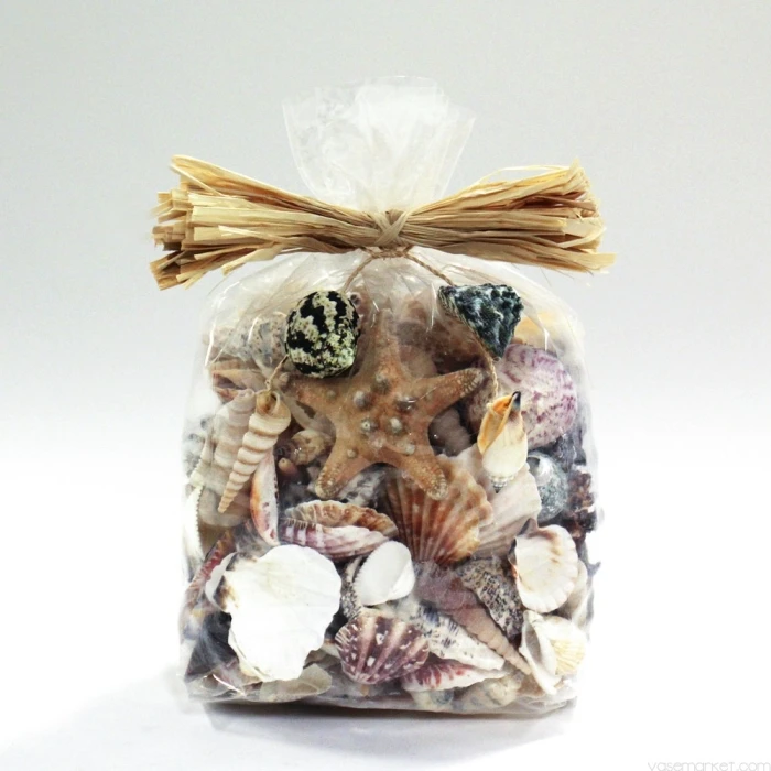 19.2 Lbs Natural Mixed Shells In Bulseta Bag Bowl Vase Fillers (Approximately 1200 Pcs) 3 19.2 Lbs Natural Mixed Shells In Bulseta Bag Bowl Vase Fillers (Approximately 1200 Pcs) - Image 3