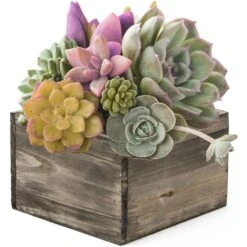 Wood Square Planter Box With Plastic Liner, 6" X 6" X 4" (Wholesale 24 PCS/Case) -Home Decoration Discount wpcb060604 1