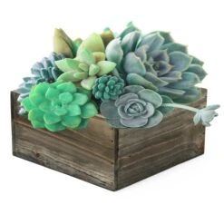 Case Of 12 - Wood Square Planter Box With Plastic Liner, 8" X 8" X 4" -Home Decoration Discount zwcb080804 plant